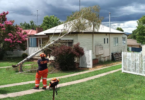 SES FB Photo depicting SES Employee clearing Storm damaged Birch tree